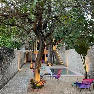 https://hotelito-yum-kaax.hotelsmerida.org